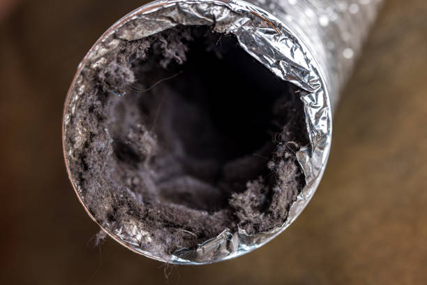 Best Ventilation Cleaning Services  in East Grand Rapids, MI