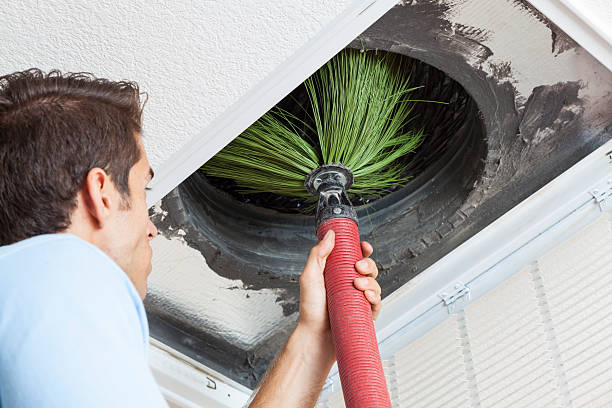 Air Duct Mold Removal in MI