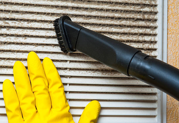 Best Professional Duct Cleaning Services  in East Grand Rapids, MI